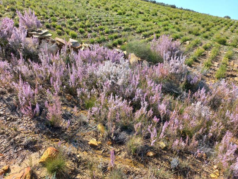 4 Bedroom Property for Sale in Piketberg Rural Western Cape